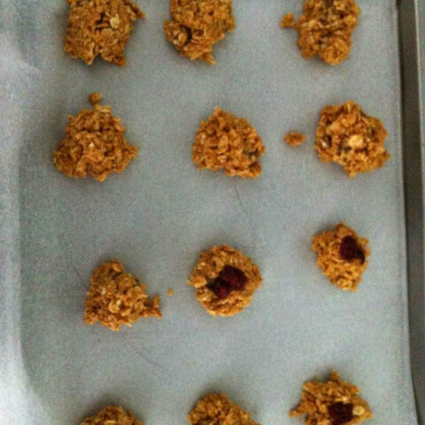 Peanut Butter Quinoa Bites