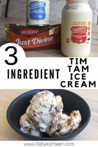 3 Ingredient Tim Tam Ice Cream